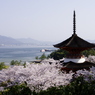 島を染める