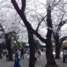 DSC00173