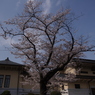 IMGP2877