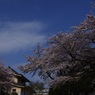 IMGP2880