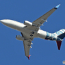 「スカイ」☮ Private ウイルミントン ボーイング737 ☮
