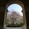 京都府庁