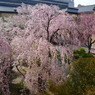 京都府庁