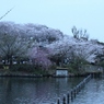 IMG_0272 (1920x1280)