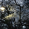 IMG_0274 (1920x1280)