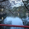 IMG_0276 (1920x1280)