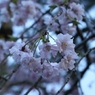 IMG_0280 (1920x1280)