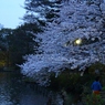 IMG_0295 (1920x1280)