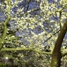 IMG_0344 (1920x1280)