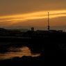 写真掌編：続々々々・夜会の花（龍馬異聞 Ⅴ）６：最終回：NTW367