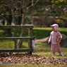 桜、公園、日曜日　#10