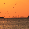 ☮ 東京湾の タンカーと夕焼け 風景 ☮