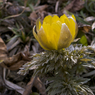 R0010404