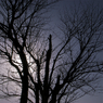 R0010426