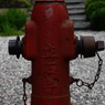 お寺を守る