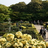 旧古河邸庭園３