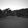 鳥居と公園