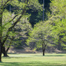 DSC_0773-2