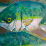 油絵
