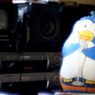 パピプペンギンズ