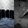 水面／水滴