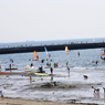 「クール」楽しいな・みんなの浜辺と砂浜で遊ぶ