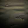 去り行く夏の足跡
