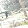未知との遭遇４
