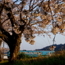 夕暮れ時のタンゴ鉄道