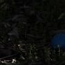 K5IM8689_Resize