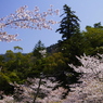 風に吹かれて