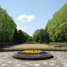 中央公園