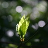 目醒めの時間