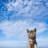 ぼくの空