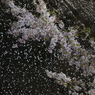 P1110299s