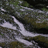 P1110223s