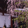 修行