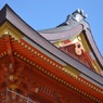 上を見れば