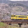 春のはばたん