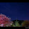 お寺 x 桜。　< IIIII >