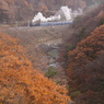 紅葉の水上諏訪峡に踊るSLの煙り！