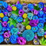 花まいりその②　花手水　10月