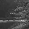 渡月橋