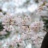 仲良し公園10_R