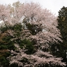 仲良し公園2_R