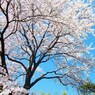 春の女王