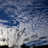 秋空