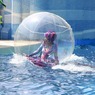イルカショーにて