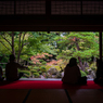 贅沢のお裾分け