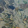魚群
